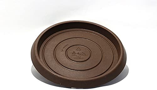 Soucoupe circulaire en résine 50 cm. Bronzantico