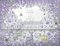 Woods of Windsor Revestimientos de cajones perfumados, Revestimientos de Lavanda fragante para cajones y estantes para perfumar Ropa y Ropa de Cama, Aroma de Lavanda, 35 cm x 50 cm 5 Paquete