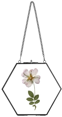 REDHUGO Handgefertigter Glasrahmen für gepresste Blumen, Doppelglas, Messing, schwimmender Rahmen, Wandbehang, rundes Bild, Rahmen für getrocknete Blumen, Poster, Heimdekoration, Sechseck, Schwarz,