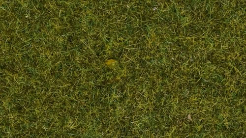 NOCH Wildgras „Wiese“ für Modellbau, 9 mm, 50 g Beutel ideal für Spurweiten 0, H0, TT