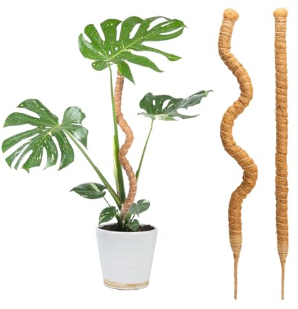 Bamworld Moss Pole 2 Pcs 27.5in Plant Stakes for Plant Support Monstera Coco Coir Plant Support for Small Potted Climbing Plants to Grow Upwards