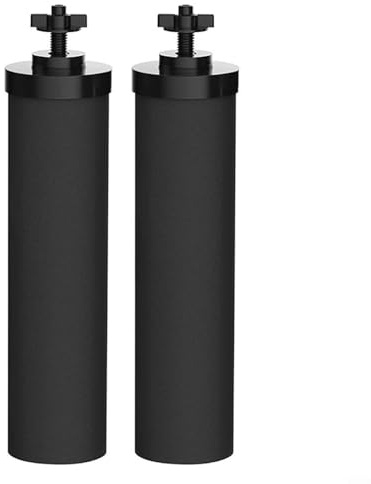 CookiBlend Lot de 2 cartouches de filtre à eau au charbon actif en coquille de noix de coco pour améliorer le goût et la pureté de l'eau potable