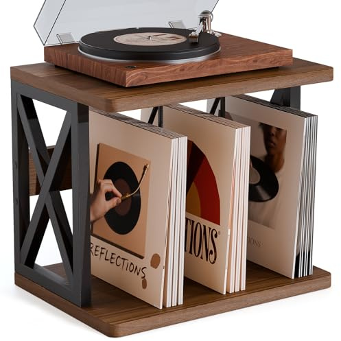 Schallplatten Aufbewahrung Schallplattenständer Plattenspieler-Ständer | bis zu 100 Alben Schallplattenregal aus Metall & Holz für Musikzimmer und Wohnzimmer 40x36x32cm