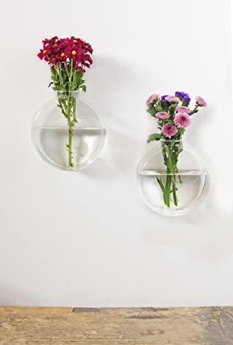Winkee - Dahlia Wandvasen für Pflanzen 2er Set | Blumentopf für die Wand Hänge-Blumentopf in runder Form | Wall Planter | Glas Propagation Station Hängend | Geschenk zum Muttertag, Geburtstag
