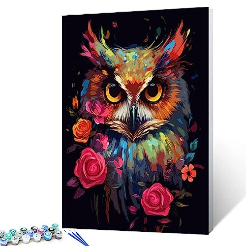 Tucocoo Malen nach Zahlen, Eulen-Portrait-Set mit Pinseln und Acryl-Pigment auf Leinwand, Malerei für Erwachsene, Tierrosen, Blumen, handgemaltes Kunsthandwerksprojekt für Heimdekoration(DIY gerahmt)