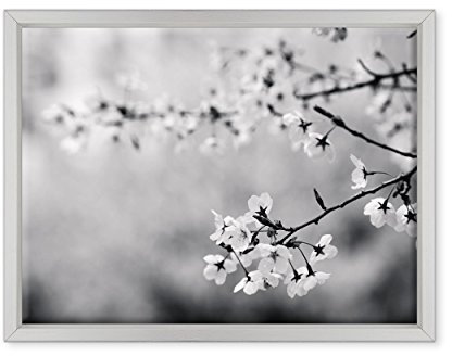 ConKrea QUADRO SU TELA CANVAS INTELAIATO - CON CORNICE - Fiori di Pesco - Foto bianco e nero - Fiori Rosa - 30x40cm - Stile Moderno Bianco - (cod.3614)