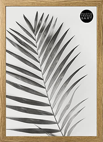 pf+a REAL GLASS Oxford Picture Frame For A3 - Thin Premium Poster Picture Frame For A3 / 42x29.7cm - Oak Effect