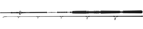Daiwa Steckrute BG Offshore Pilk Länge 2,70m Wurfgewicht 40-125g