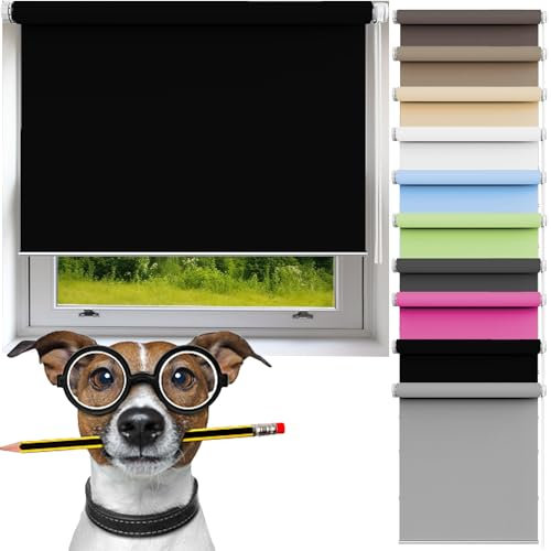 Seitenzugrollo 30 x 60 cm Hitzeschutz Und Sichtschutz, Fensterrollo Innen für Schlafzimmer, Badezimmer, Wohnzimmer Fenster, Schwarz