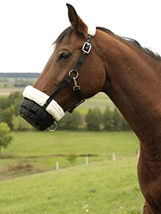 Covalliero Maulkorb Teddyfleece, Fressbremse, Webpelz, schwarz, Cob, Pferd, mehrfach verstellbar, sichere Passform