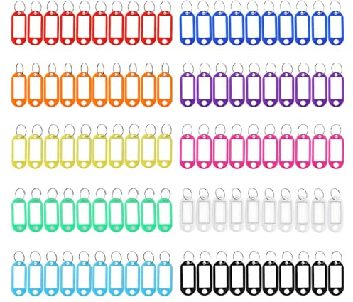 100 Stück Schlüsselanhänger - Schlüsselanhänger Beschriftbar Kunststoff-Schlüsselanhänger mit Ring für Schlüssel Koffer Haustiere(10 Farben)