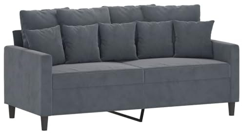 vidaXL Sofa 2-Sitzer, Loungesofa Couch mit Armlehnen Rückenkissen, Wohnzimmersofa Designsofa Metallgestell, Sitzmöbel Zweisitzer, Dunkelgrau Samt