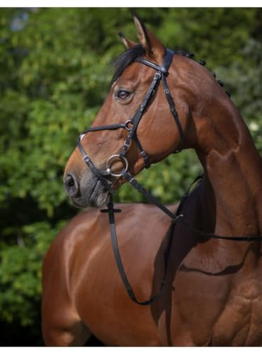 Riding World Trensenzaum mexikanisches Reithalfter Pony Schwarz