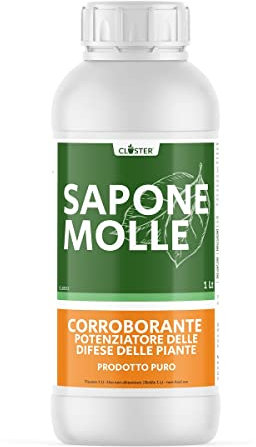 CLOSTER Sapone Molle di Potassio per Piante Puro 1 LT - Corroborante che Potenzia le Difese Naturali delle Piante Contro Parassiti e Insetti - Prodotto Italiano per Giardino Orto Frutteto Fiori Piante