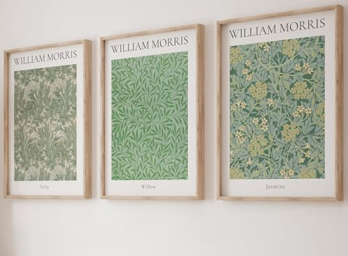 William Morris Set of 3 Unframed Prints, Art Nouveau Home Decor, Vintage Art, Botanical Flower Poster, Digital Art, Tulip Willow Jasmine (A4)
