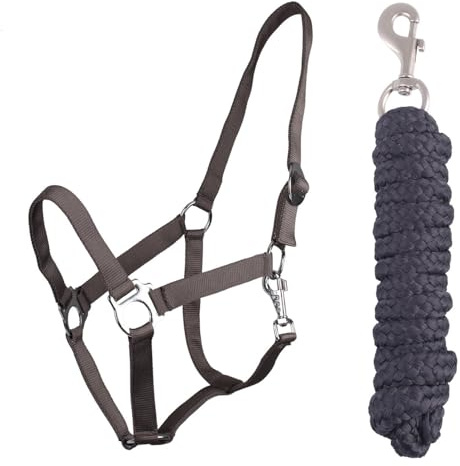 ARBO-INOX Halfter-Set Beginner - Halfter + Führstrick mit Karabinerhaken verstellbar (Shetty, Anthrazit)