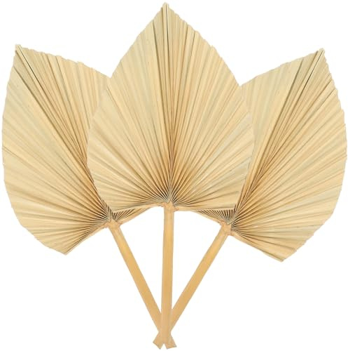 DECHOUS 3 Piezas Decoración Pared Abanicos Palma Secas Secas Adornos para Arte Mural Arreglos Naturales para Fiestas y Bodas
