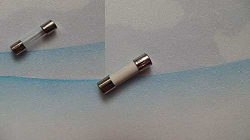 20 Stück ESKA G-Sicherungseinsatz Feinsicherung T 10A 5x20mm 522.027 Träge (T) Keramikrohr mit Löschmittel