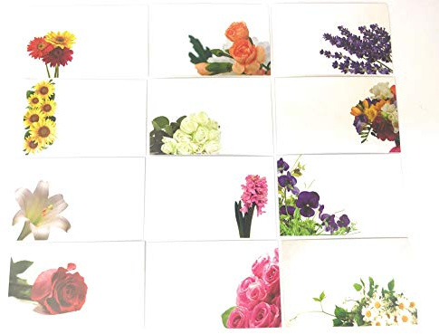 12 Qty ShredAstic Mixed (a Set) Blank Florist Message Cards (Styles May Vary) hampers Occasions