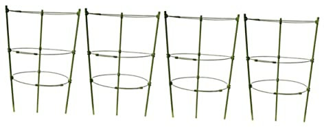 CIMAXIC Set di Strutture per Arrampicarsi sulle Piante Supporto in Ferro per Piante Rampicanti Traliccio da Giardino per Vite E Fiori
