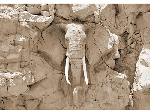 Runa Art Papel tapiz fotográfico elefante de África 352 x 250 cm Lana Fondo De Pantalla XXL Moderna Decoración De Pared Sala Cuarto Oficina Salón marrón 9398011b