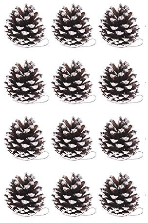Yahpetes 12 Pcs Christmas Pine Cones 1.96 Snow Tipped Natural Pine Cone Decorations Christmas Rustic Pinecone Ornaments for Decorating and Designing(12 pcs)