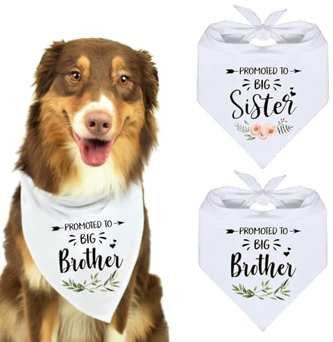 2Stück Haustier-Hundehalstuch,Verstellbares Bequemes Lätzchen,Weißes Baumwoll-Dreieck-Haustier-Bandana,Waschbares Lätzchen mit den Aufschriften „Big Brotherund „Big Sister