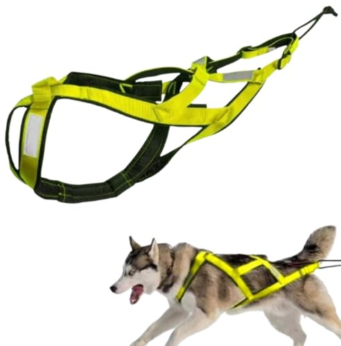 Harnais de Traction pour Chien avec Bandes réfléchissantese, Harnais de traîneau imperméable pour Chiens, Harnais de Traction pour Exercices de Chiens, Ski attelé et traîneau de，pour cani-VTT (XXXL)