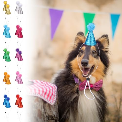 BAODBF 20 Stück Partyhüte für Hunde,Hundehut mit Bommeln und Glitzerndem,Verstellbare Katzen Hüte,Hund Geburtstag Hut,Party Geburtstagshut für Katze,Hund