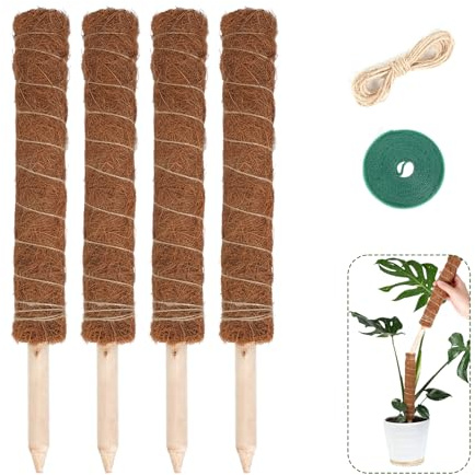 Bamworld 4-pack mossstång 40 cm Monstera växtstöd kokosnöt totempinnar för inomhusväxtstöd för att växa uppåt