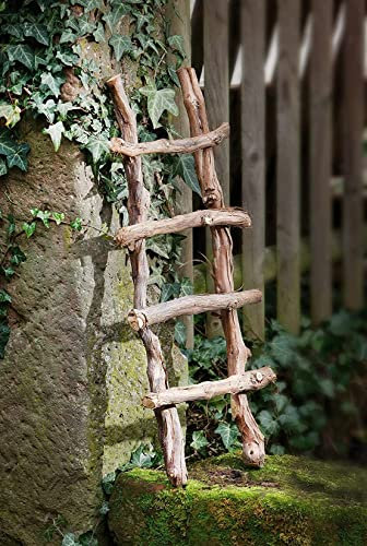 Échelle décorative en bois de vigne - Échelle en bois de style shabby - Support pour plantes - Marron