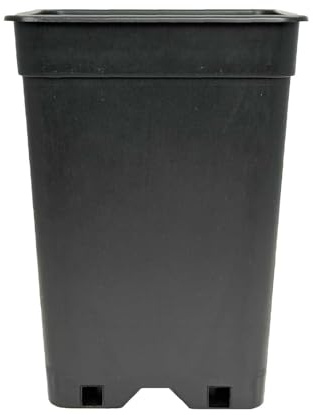 Cultonix Stabiler Pflanztopf, 13 x 13 x 15 cm, Quadratischer Blumentopf, 2L Volumen, Schwarz, Kunststoff, Stapelbar, Quadratisch mit Drainagelöchern, Anzuchttopf