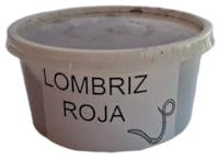 Lombrices vivas variedad Eisenia. Tarrina con 20 unidades de lombrices adultas. Lombriz de tierra vivas. Ideal para elaborar compost. Aptas para uso en pesca. Vermicompostador. (1)