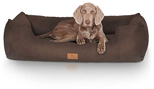 Knuffelwuff Hundebett Dreamline aus Velours Übergröße XXXL 155 x 105cm Braun - abnehmbarer Bezug - leicht zu reinigen - für große, mittelgroße und kleine Hunde