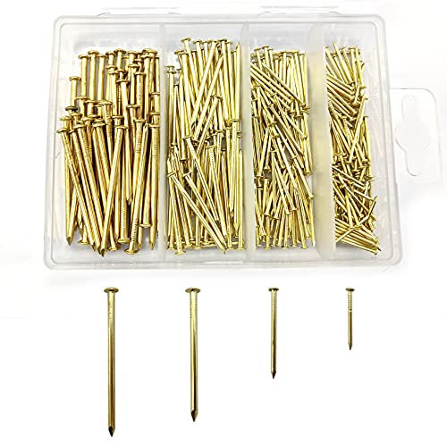 Set di 300 Chiodi per Pareti, Chiodi Testa Rotonda in Legno, Chiodi per Appendere Quadri, Chiodi per Muro, Assortimento di Chiodi per Fissaggio Cornici, Lavorazione del Legno, Specchi con Cornice