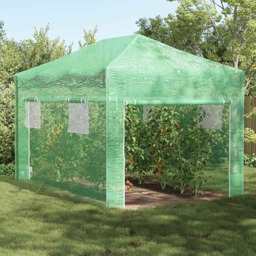 Nqyjm Serre avec Cadre Pop-up Vert 290x430x315 cm Fer, Serre de Jardin Serre de Jardin Serre Tomate Serre pour Jardin Culture Terrasse Extérieur