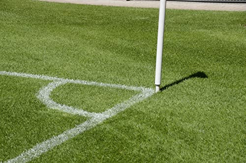 Kiepenkerl RSM 3.1 Sportrasen Neuanlage | 10kg Rasensaat mit Rispe