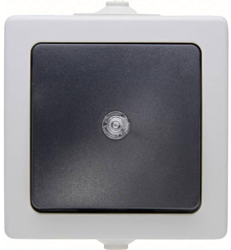 Kopp Taster FR/AP, Nautic grau