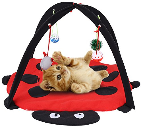 Katzenbett Katzenzelt Faltbare Zelt Katze Spielzeug Interaktives Katzenspielzeug Waschbar Katzenkissen Katze Wurf Bett mit Hängende Spielzeug Glocken Bälle und Mäuse, 60 x 60 x 34 cm