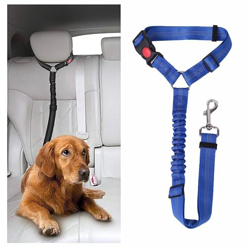 DOETYD Ceinture de sécurité de Voiture pour Chien – Harnais réglable pour Animal Domestique, Laisse rembourrée pour Chien, Laisse élastique en Nylon Durable, Laisse de sécurité pour Chien (Bleu)