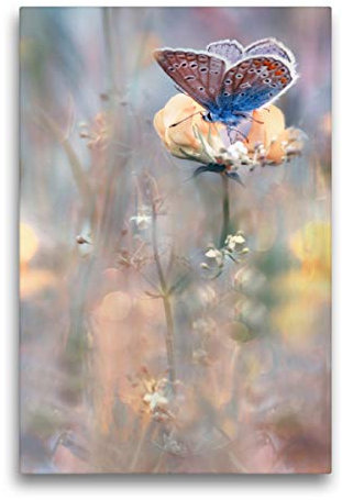Premium Textil-Leinwand 50 x 75 cm Hoch-Format Bläuling, Leinwanddruck von Carola Haese