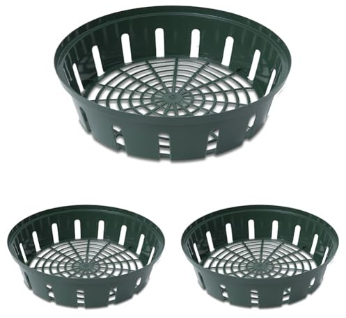 Windhager Blumenzwiebel-Schale, Anzucht- und Pflanzkorb, Rund, 30 cm, 3 Stück, 05569