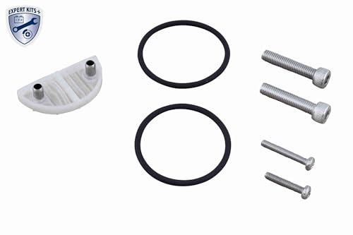 VAICO V10-6982 Hydraulikfilter Haldex-Kupplung mit Zubehör mit Schrauben mit Dichtring Hinten Kompatibel mit VW Golf 6 5K1 0AY598305 0AY598305kit 1049357