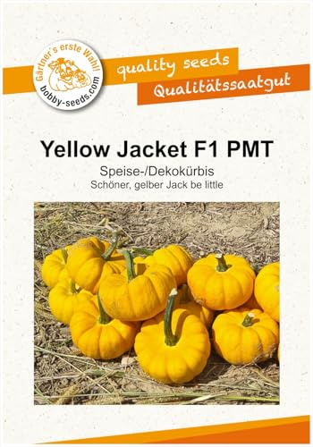 Gärtner's erste Wahl! bobby-seeds.com Kürbissamen Yellow Jacket F1 Portion