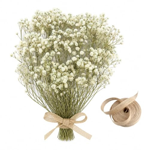 ARYIMYDP Gypsophile Séché 50 Tiges, Fleurs Blanches Naturelles avec Corde en Jute 5 Mètres, pour DIY Bougies Résine Bijoux Ongles Artisanat
