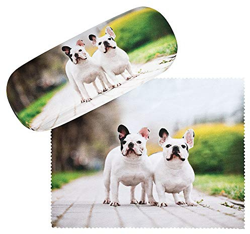 VON LILIENFELD Brillenetui Motiv Etui Brille Mikrofaser Brillenputztuch Brillenbox Stabiles Hardcase Set mit Stoff bezogen