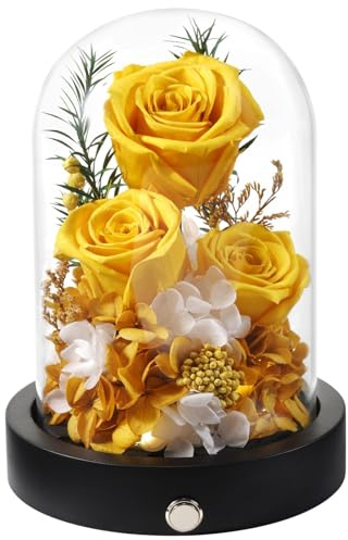 Pinnetetti Preserved Flowers in Glass Dome with LED, Forever Yellow Roses for Delivery, Valentines Day Anniversary Birthday Mothers Day Flower Gifts for Mom Her Women Wife Mother