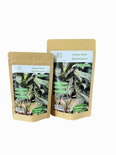 BioNurture House Plant Biostimulant, 100% Natural Fertiliser. Indoor House Plant Food for Growing Vibrant and Healthy Plants (200g)