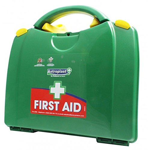 Wallace Cameron 1002279 First Aid Kit Box for 20 Persons, Green