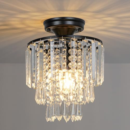 FRIDEKO HOME Moderne Lustre Cristal Plafonnier Noir,Petit Plafonnier Cristal Douille E27 pour Salon Chambre Cuisine Couloir,Ø23cm